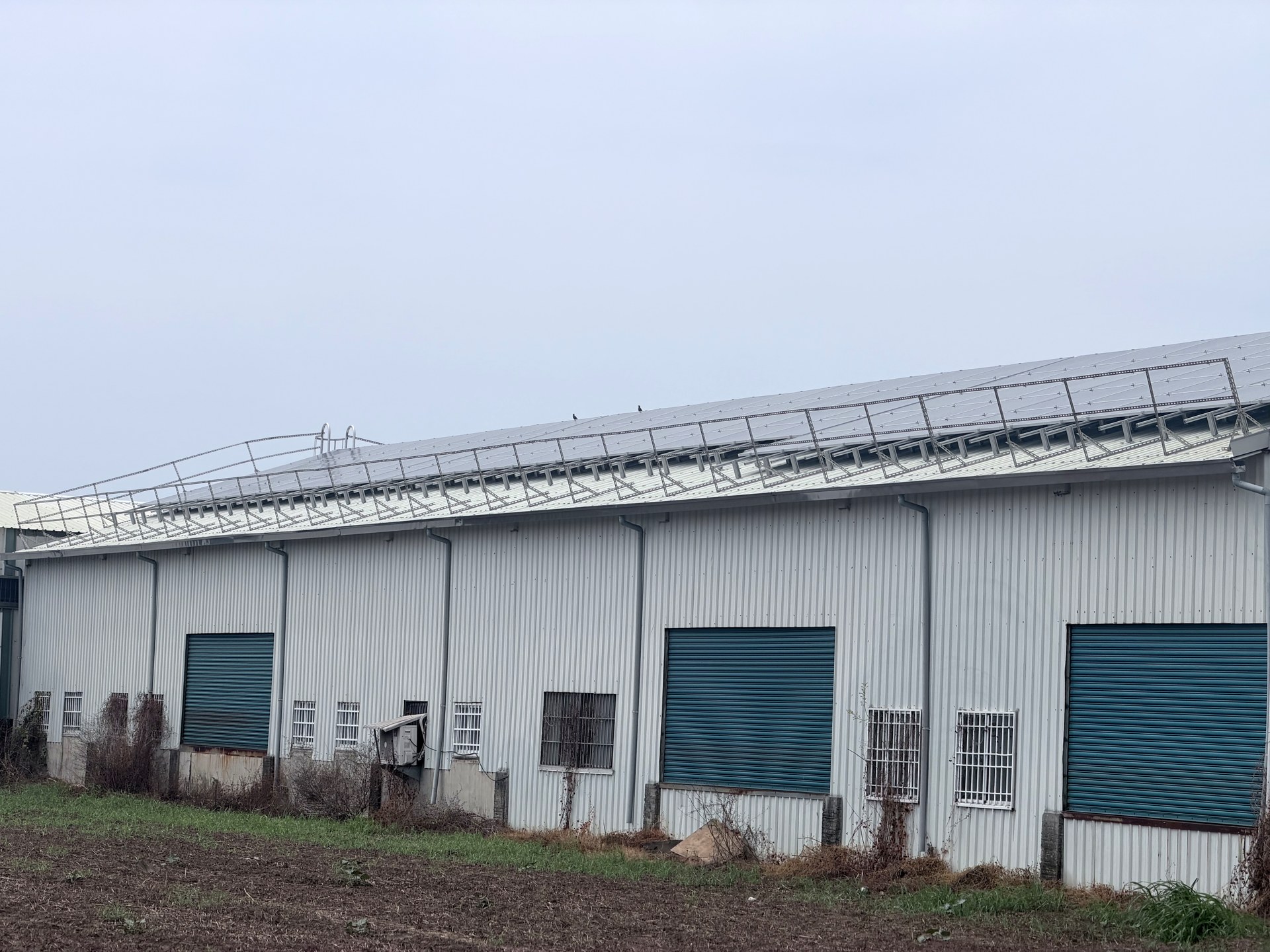 Solar panels on factory roof